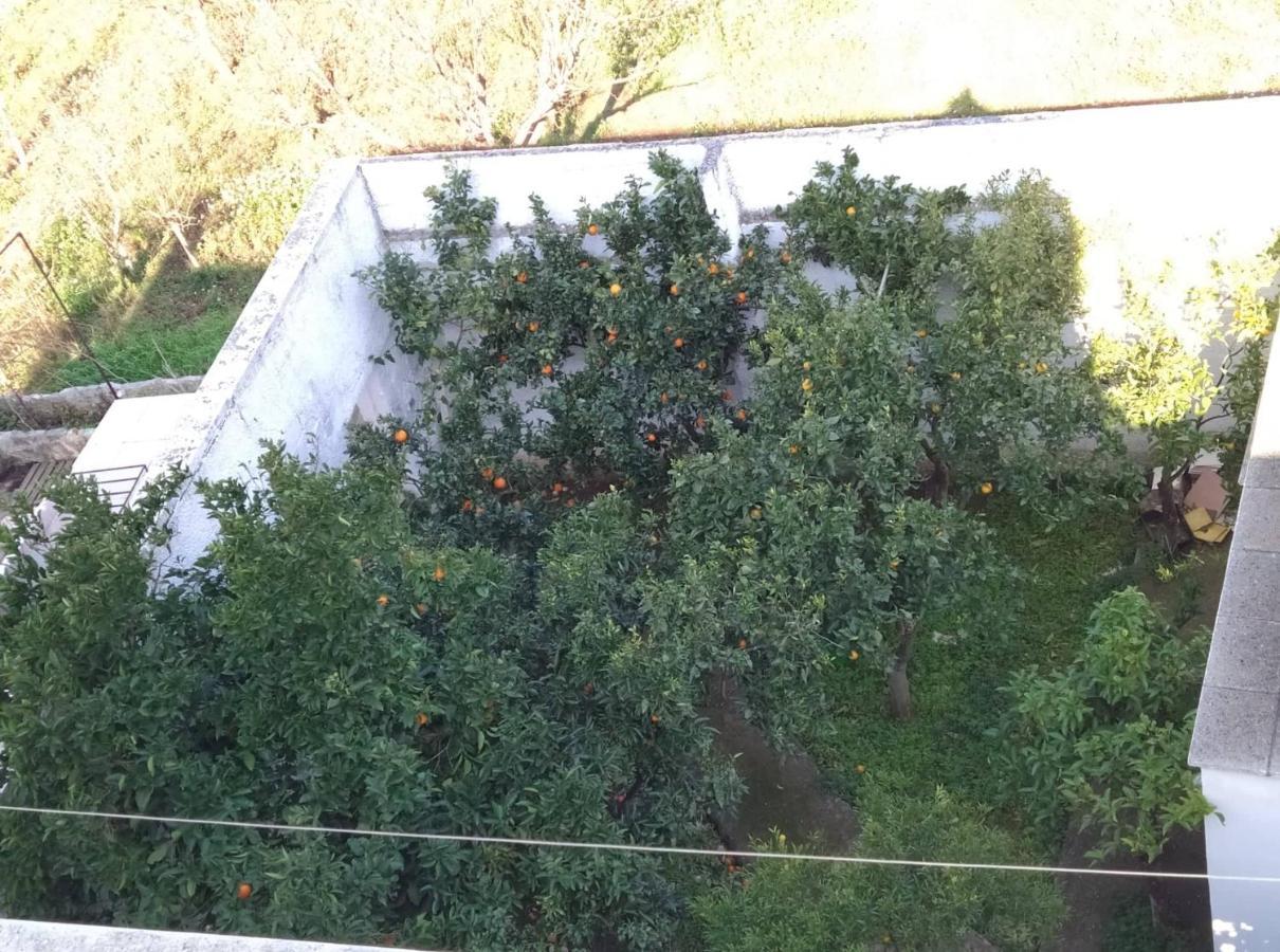 Villa Gardenia Ostuni Dış mekan fotoğraf