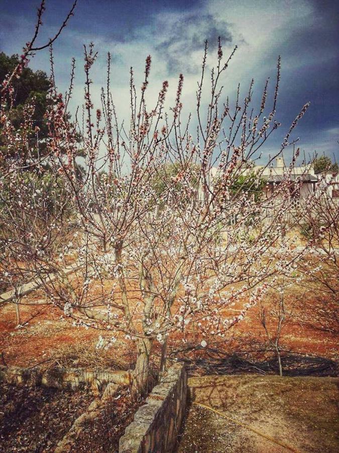 Villa Gardenia Ostuni Dış mekan fotoğraf