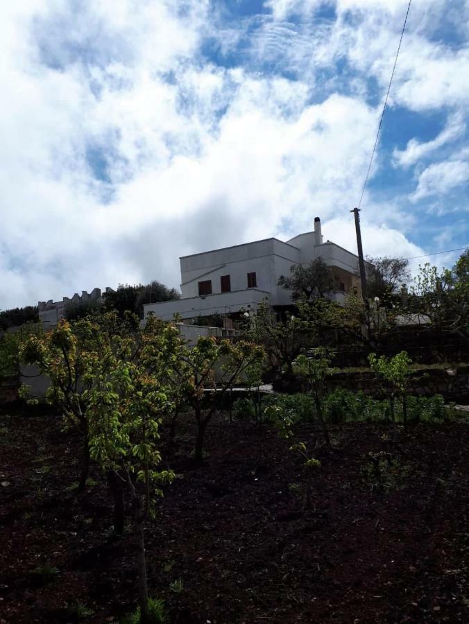 Villa Gardenia Ostuni Dış mekan fotoğraf